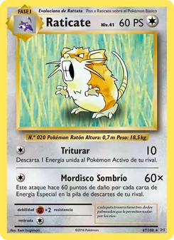 Carta Raticate de la expansión Evoluciones, número 67/108