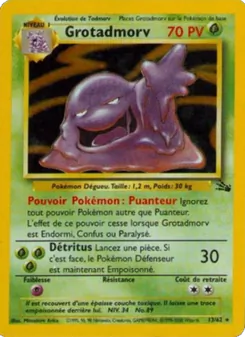 Carte Grotadmorv de l'extension Fossile, numéro 13/62
