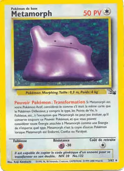 Carte Métamorph de l'extension Fossile, numéro 3/62