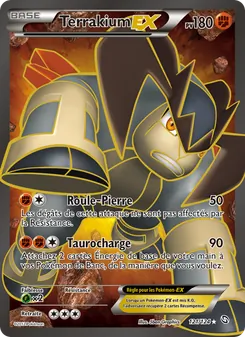 Carte Terrakium-EX de l'extension Dragons Éxaltés, numéro 121/124
