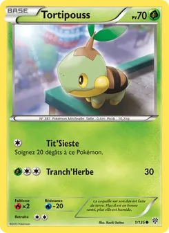 Carte Tortipouss de l'extension Tempète Plasma, numéro 1/135