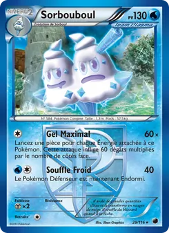 Carte Sorbouboul de l'extension Glaciation Plasma, numéro 29/116