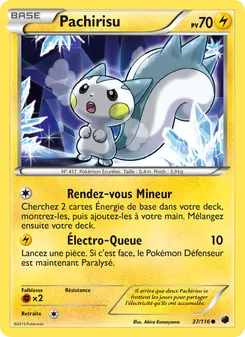 Carte Pachirisu de l'extension Glaciation Plasma, numéro 37/116
