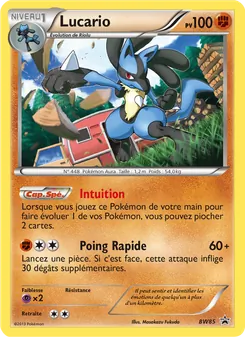 Carte Lucario de l'extension Promo BW, numéro BW85/101