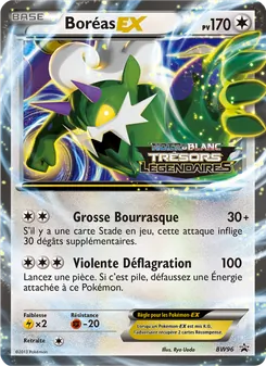 Kaart Tornadus-EX uit BW Black Star Promos, nummer BW96/101