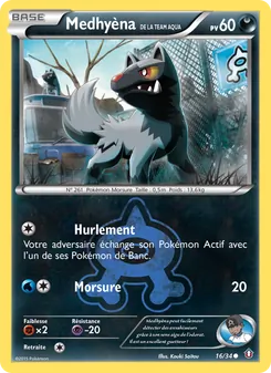 Carte Medhyèna de la Team Aqua de l'extension Double Danger, numéro 16/34