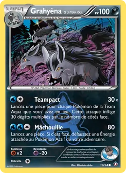 Carte Grahyèna de la Team Aqua de l'extension Double Danger, numéro 18/34