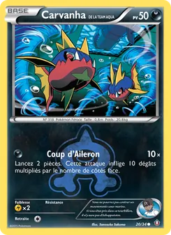 Carte Carvanha de la Team Aqua de l'extension Double Danger, numéro 20/34