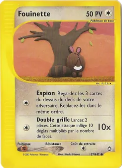Carte Fouinette de l'extension Aquapolis, numéro 107/147