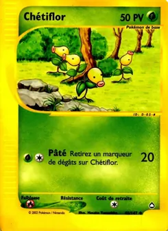 Carte Chétiflor de l'extension Aquapolis, numéro 45/147