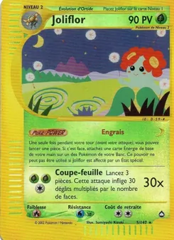 Carte Joliflor de l'extension Aquapolis, numéro 5/147