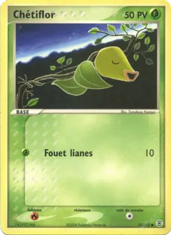 Carte Chétiflor de l'extension EX Rouge Feu & Vert Feuille, numéro 53/112