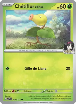 Carte Chétiflor d'Erika de l'extension Héros Transcendants, numéro 004/217