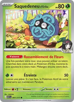 Carte Saquedeneu d'Erika de l'extension Héros Transcendants, numéro 007/217