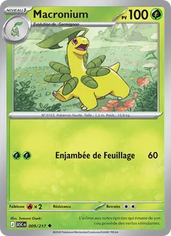 Carte Macronium de l'extension Héros Transcendants, numéro 009/217