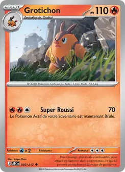Carte Grotichon de l'extension Héros Transcendants, numéro 030/217