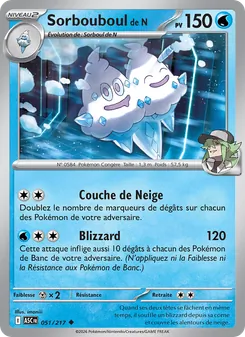 Carte Sorbouboul de N de l'extension Héros Transcendants, numéro 051/217