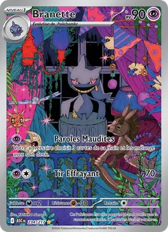 Carte Branette de l'extension Héros Transcendants, numéro 234/217