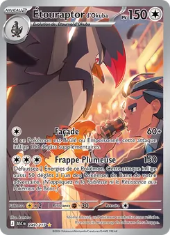Carte Étouraptor d'Okuba de l'extension Héros Transcendants, numéro 249/217