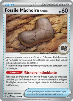 Carte Fossile Mâchoire Ancien de l'extension Équilibre Parfait, numéro 068/88