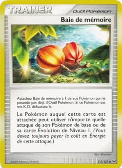 Carte Baie de mémoire de l'extension Platine, numéro 110/127