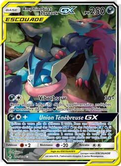 Carte Amphinobi et Zoroark GX de l'extension Alliance Infaillible, numéro 201/214