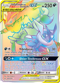 Carte Amphinobi et Zoroark GX de l'extension Alliance Infaillible, numéro 222/214