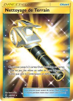 Carte Nettoyage de Terrain de l'extension Gardiens Ascendants, numéro 163/145