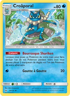 Carte Croâporal de l'extension Lumière Interdite, numéro 23/131