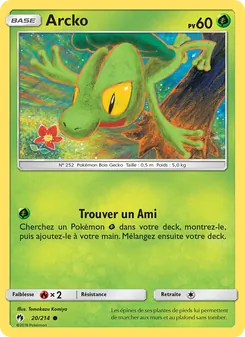 Carte Arcko de l'extension Tonnerre Perdu, numéro 20/214