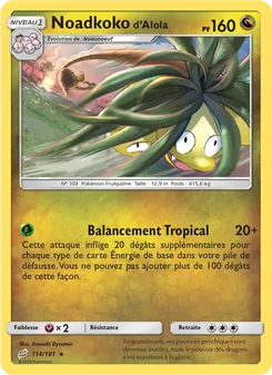 Carte Noadkoko d’Alola de l'extension Duo de Choc, numéro 114/181