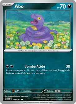 Carte Abo de l'extension 151, numéro 023/165