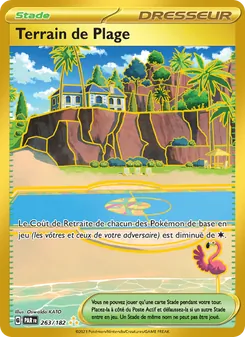 Carte Terrain de Plage de l'extension Faille Paradoxe, numéro 263/182
