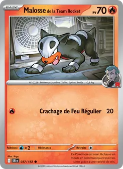 Carte Malosse de la Team Rocket de l'extension Rivalités Destinées, numéro 037/182