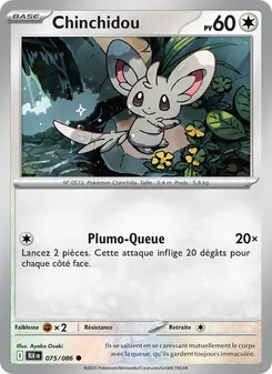 Carte Chinchidou de l'extension Foudre Noire, numéro 075/86
