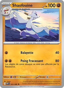 Carte Shaofouine de l'extension Flamme Blanche, numéro 053/86