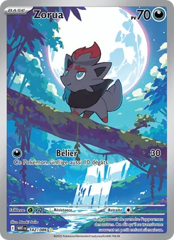 Carte Zorua de l'extension Flamme Blanche, numéro 142/86