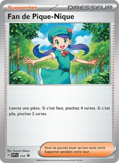 Carte Fan de Pique-Nique de l'extension SVP Black Star Promos, numéro 114/225