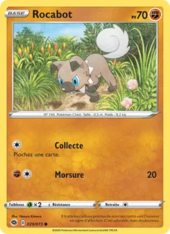 Carte Rocabot de l'extension La Voie du Maître, numéro 29/73