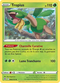 Carte Tropius de l'extension Stars Étincelantes, numéro 005/172
