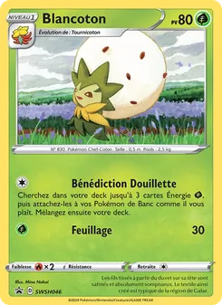 Carte Blancoton de l'extension Promo SWSH, numéro SWSH046/307