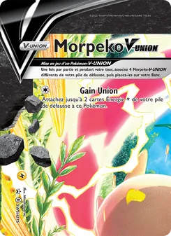 Carte Morpeko V-UNION de l'extension Promo SWSH, numéro SWSH215/307
