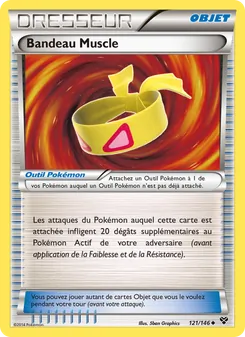Carte Bandeau Muscle de l'extension XY, numéro 121/146