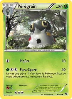 Carte Pérégrain de l'extension XY, numéro 16/146
