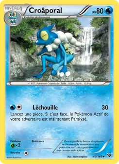 Carte Croâporal de l'extension XY, numéro 40/146