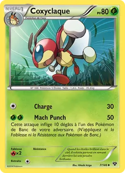 Carte Coxyclaque de l'extension XY, numéro 7/146