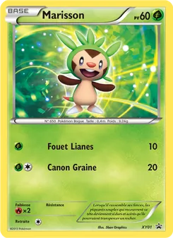 Carte Marisson de l'extension Promo XY, numéro XY01/211