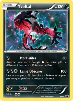 Carte Yveltal de l'extension Promo XY, numéro XY06/211