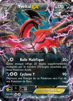 Carte Yveltal EX de l'extension Promo XY, numéro XY08/211