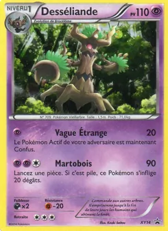 Carte Desséliande de l'extension Promo XY, numéro XY14/211